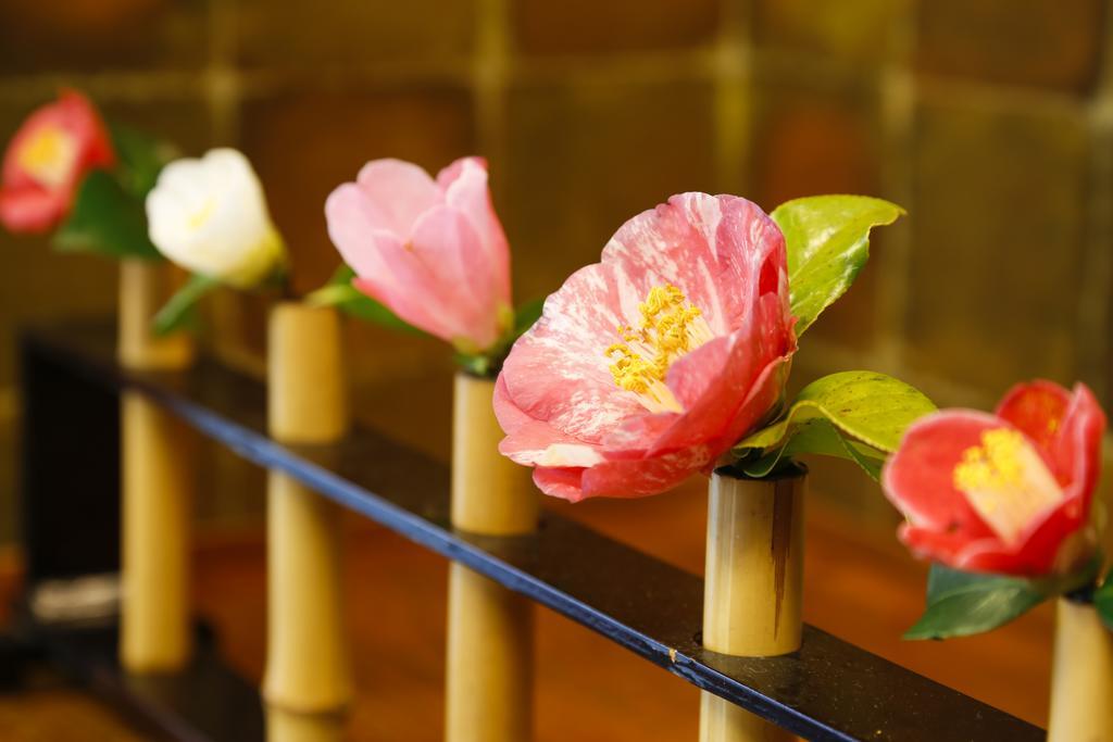 城崎温泉 旅館 つばき乃 - Kinosaki Onsen Ryokan Tsubakino Toyooka  Luaran gambar